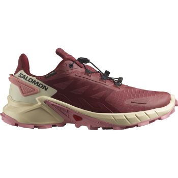 Intersport salomon best sale speedcross 4 gtx